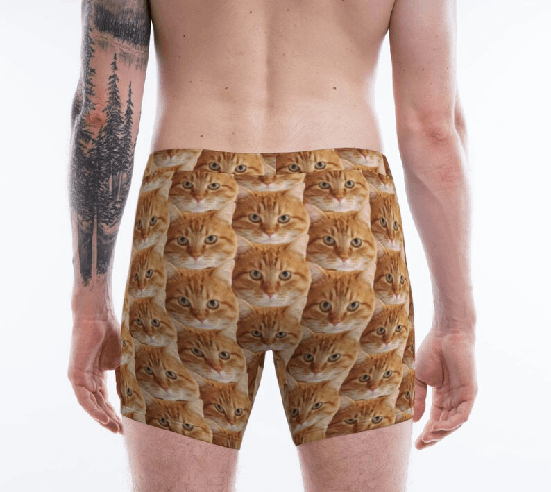 Personalized Cat Photo Men's Underwear, Custom Cat Dad Boxer Briefs, Wedding Anniversary Gift for Cat Owner, Customized Cat Father Boxers
