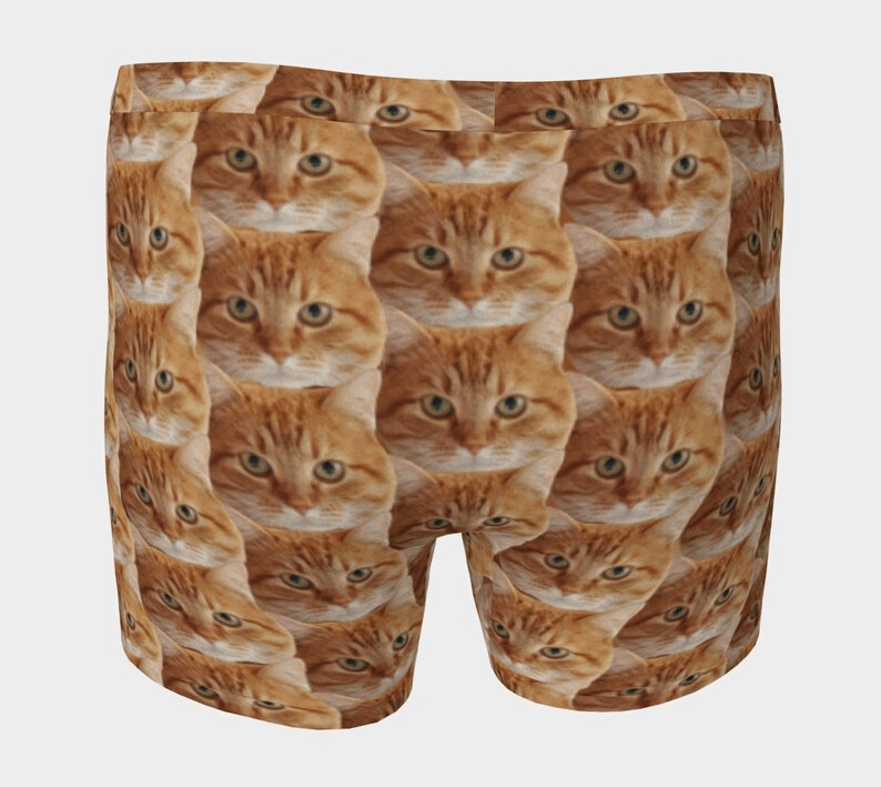 Personalized Cat Photo Men's Underwear, Custom Cat Dad Boxer Briefs, Wedding Anniversary Gift for Cat Owner, Customized Cat Father Boxers