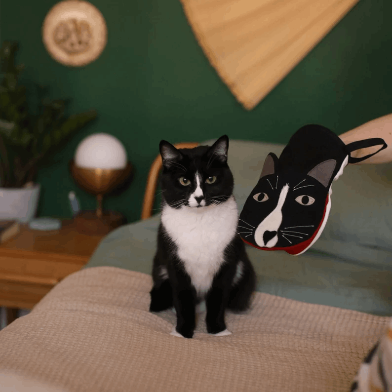 Gants de Cuisine Animaux – Motifs Chats et Chiens Originaux