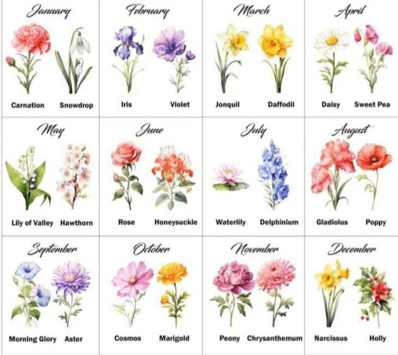 Personalized scarves for women, embroidered scarf for women, birth flower scarf, embroidered birth flower scarf, personalized woman scarf