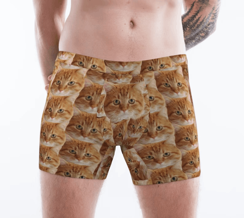 Personalized Cat Photo Men's Underwear, Custom Cat Dad Boxer Briefs, Wedding Anniversary Gift for Cat Owner, Customized Cat Father Boxers