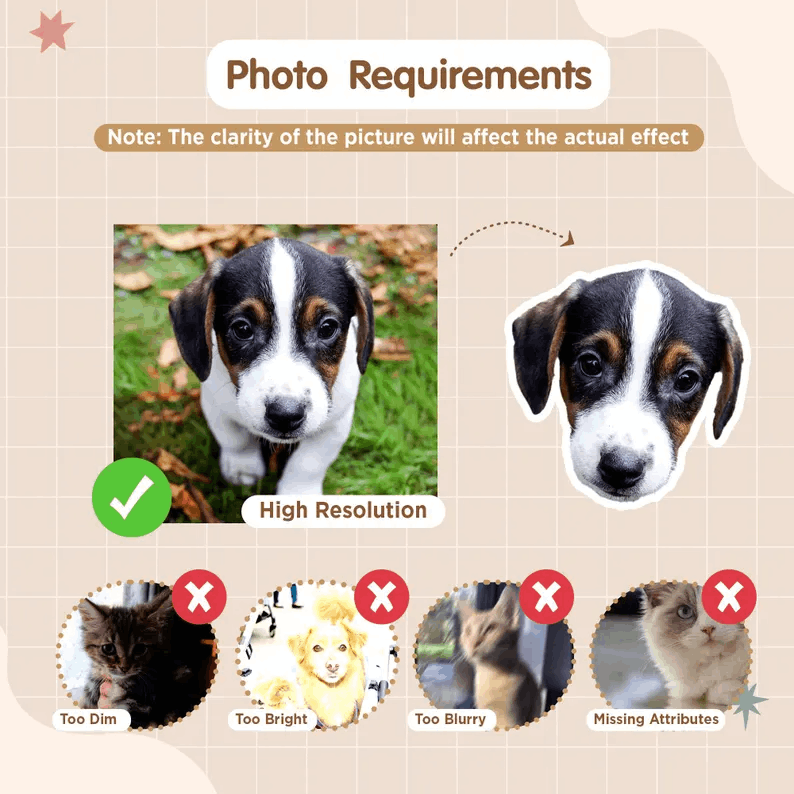 Chaussettes personnalisées avec photo – Cadeau fun pour amoureux des animaux & famille